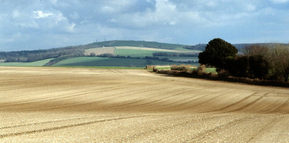 Trundle-Slider